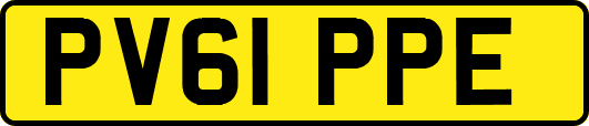 PV61PPE