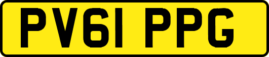 PV61PPG