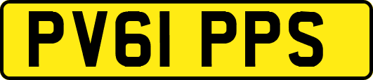 PV61PPS