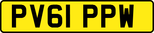 PV61PPW