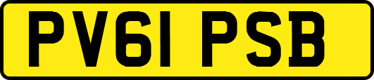 PV61PSB