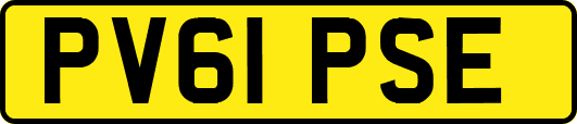 PV61PSE