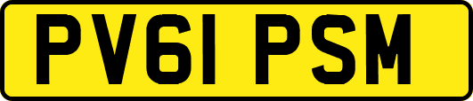 PV61PSM