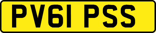 PV61PSS