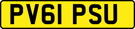 PV61PSU