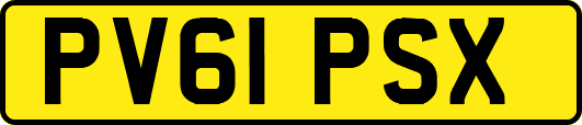 PV61PSX