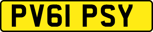 PV61PSY