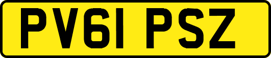 PV61PSZ