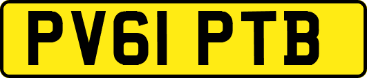 PV61PTB
