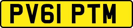 PV61PTM