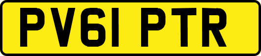 PV61PTR