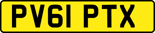 PV61PTX