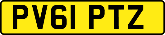 PV61PTZ