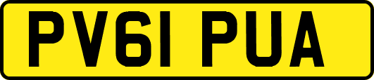 PV61PUA