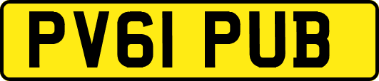 PV61PUB