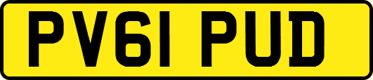 PV61PUD