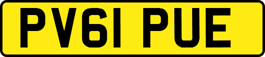PV61PUE
