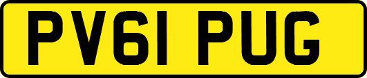 PV61PUG