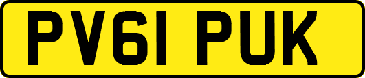PV61PUK