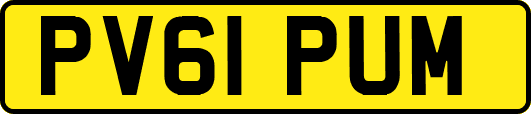 PV61PUM