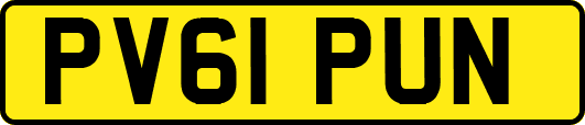 PV61PUN