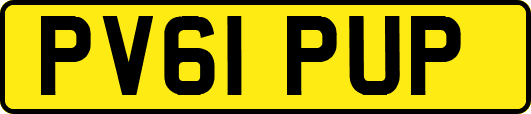 PV61PUP
