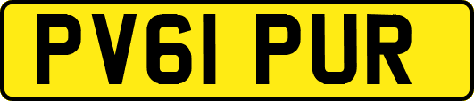 PV61PUR