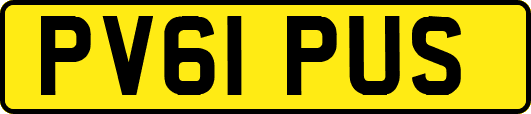 PV61PUS