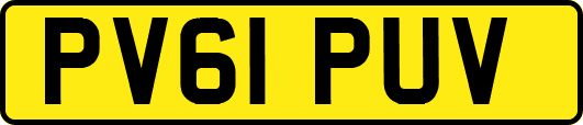 PV61PUV
