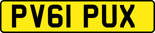 PV61PUX