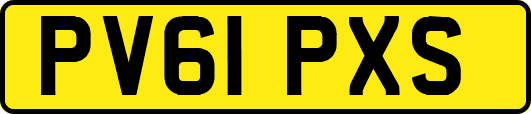 PV61PXS