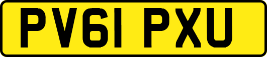 PV61PXU