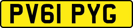 PV61PYG