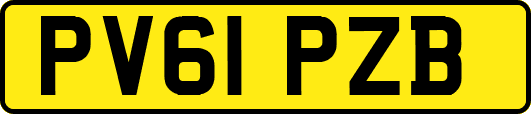 PV61PZB