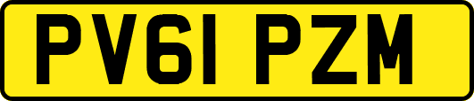 PV61PZM