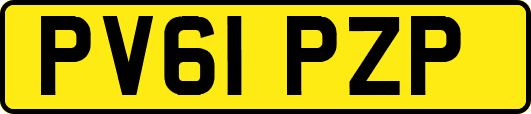 PV61PZP