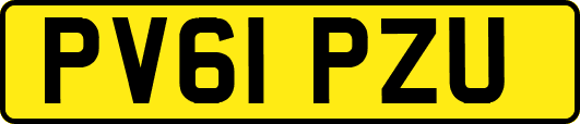 PV61PZU