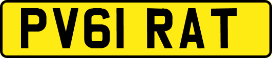PV61RAT