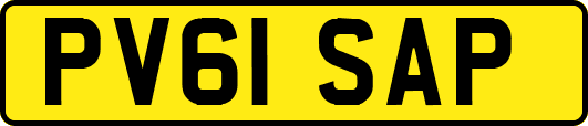 PV61SAP