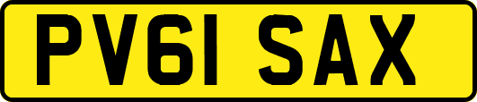 PV61SAX