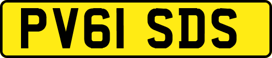 PV61SDS