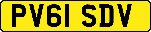 PV61SDV
