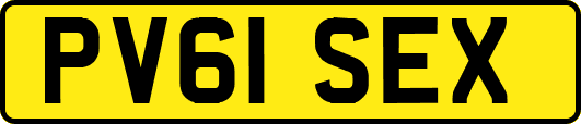 PV61SEX