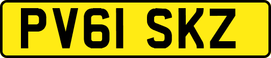 PV61SKZ