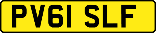 PV61SLF
