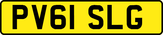 PV61SLG