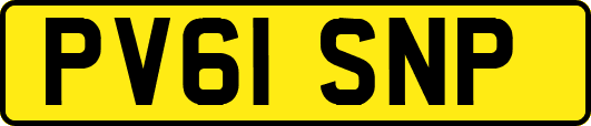 PV61SNP