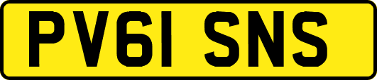 PV61SNS