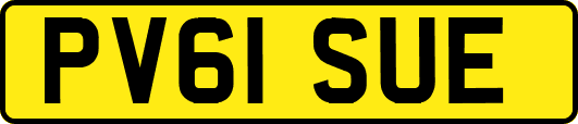 PV61SUE