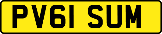 PV61SUM